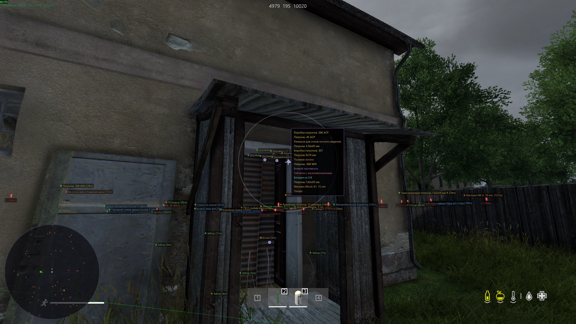 NN DayZ